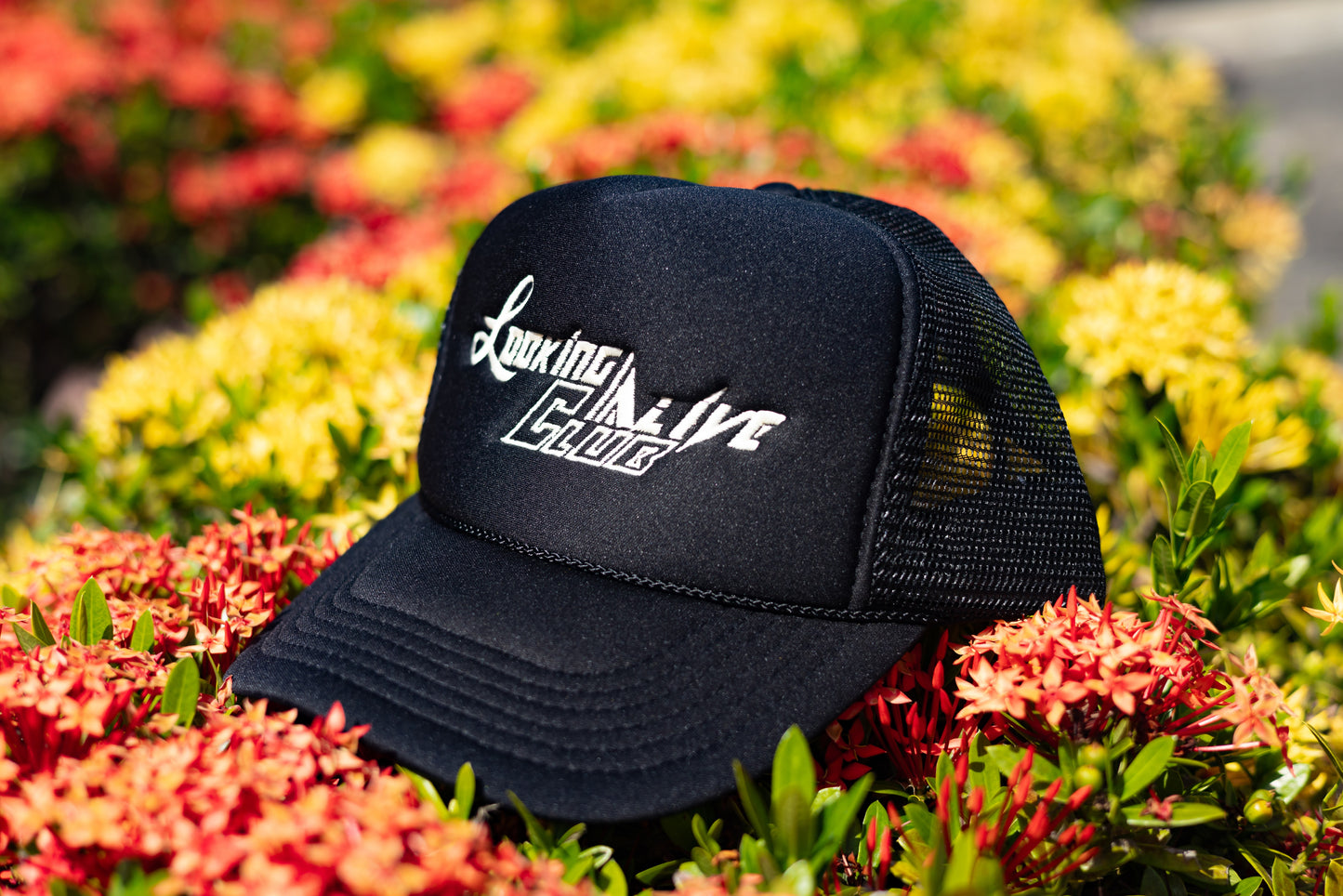 Daily Logo Trucker Cap