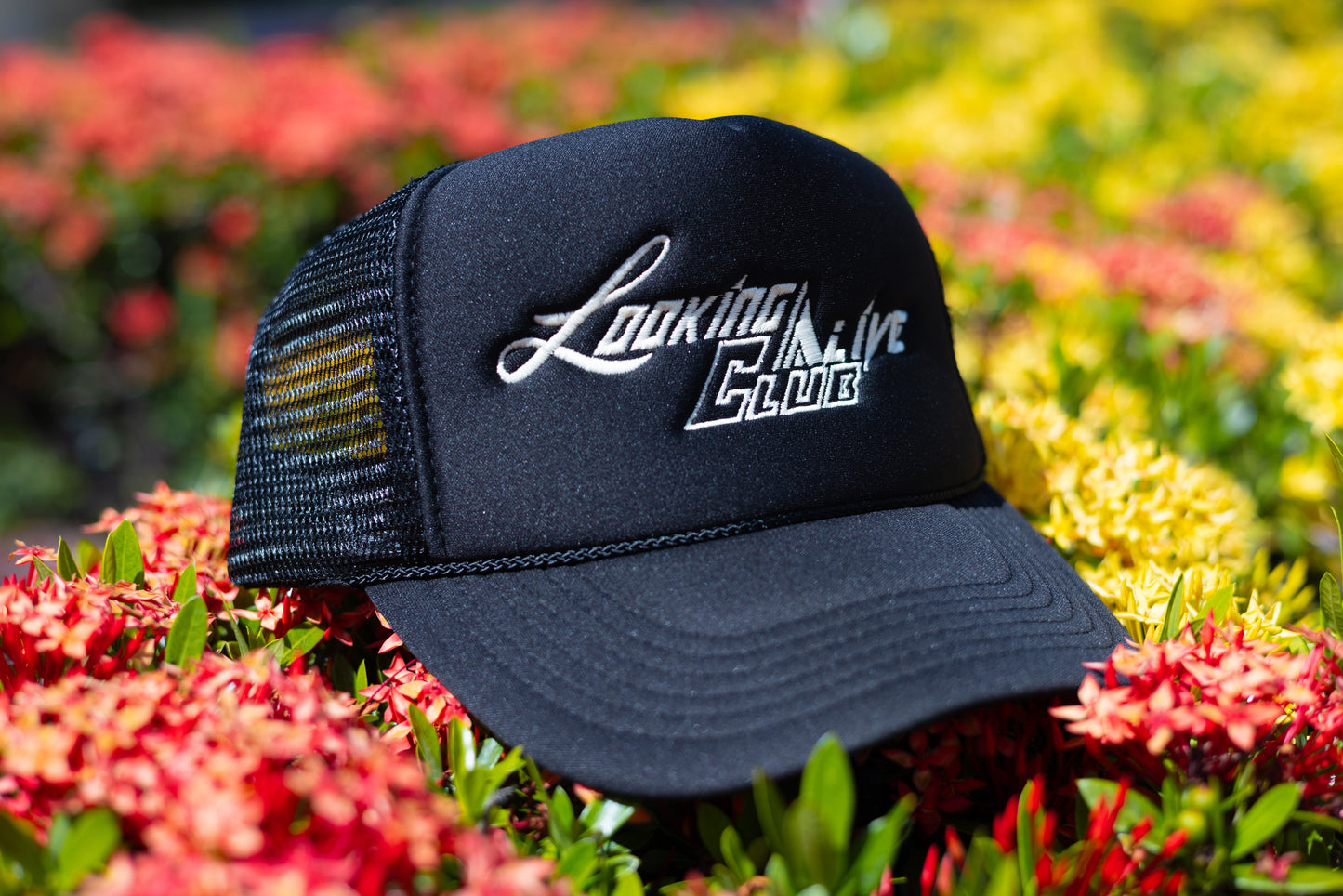 Daily Logo Trucker Cap